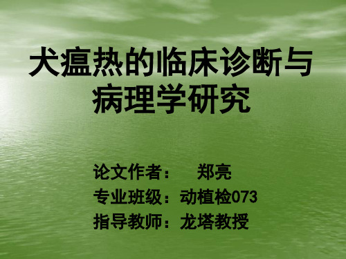 犬瘟热的临床诊断与病理学研究