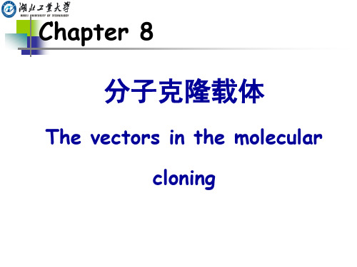 CHAPTER 8 分子克隆载体