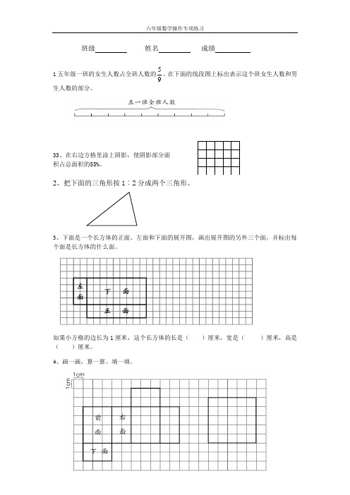 (苏教版)六年级数学上册操作专项练习