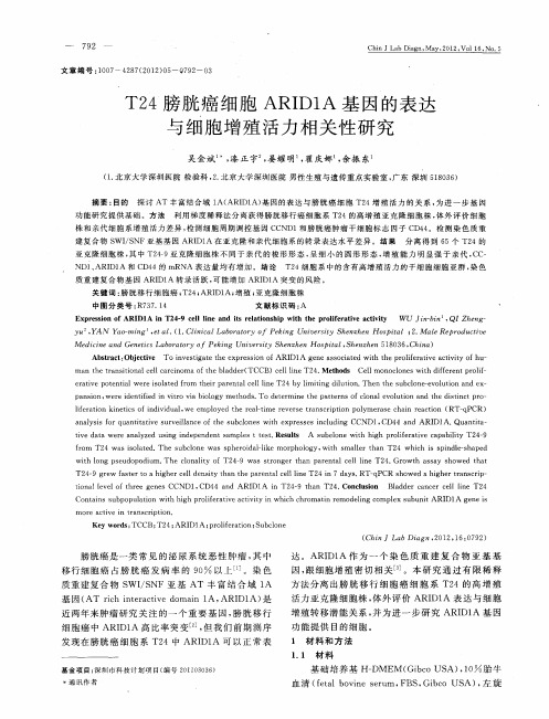 T24膀胱癌细胞ARID1A基因的表达与细胞增殖活力相关性研究