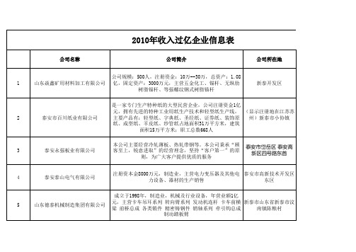 2010年收入过亿企业信息表