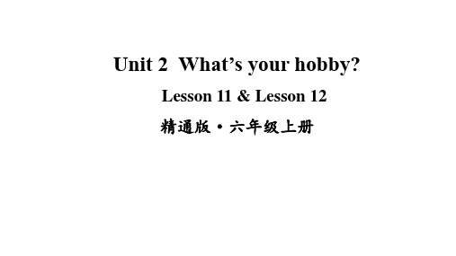 小学英语六年级上册(人教精通版)Unit 2 What's your hobby Lesson 11 - Lesson 12课件