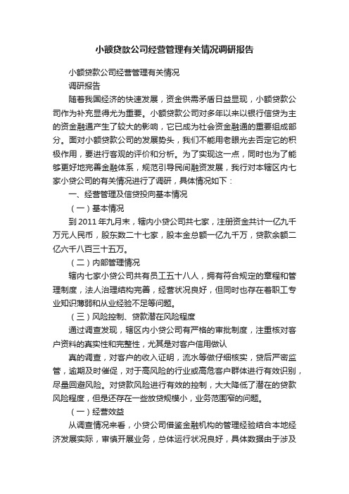 小额贷款公司经营管理有关情况调研报告