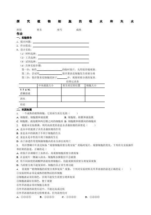 观察植物细胞的吸水和失水实验报告