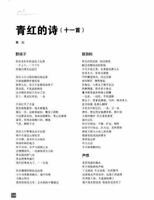 青红的诗(十一首)