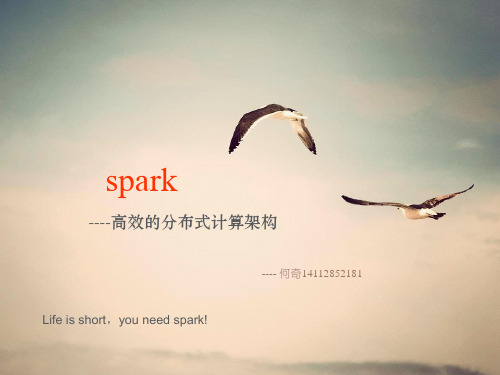 Spark--高效的分布式计算架构