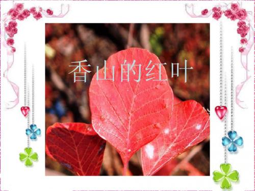 香山的红叶