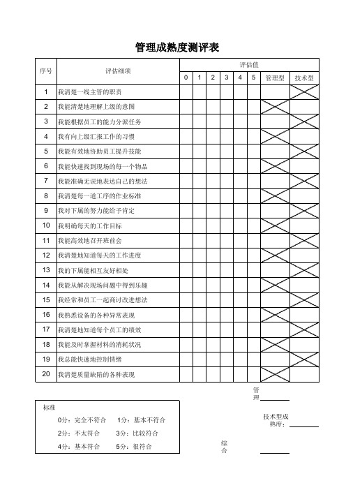 管理成熟度测评表