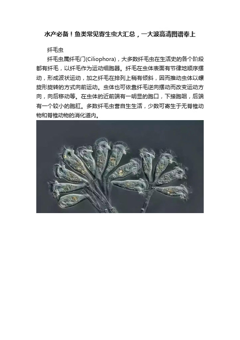 水产必备！鱼类常见寄生虫大汇总，一大波高清图谱奉上