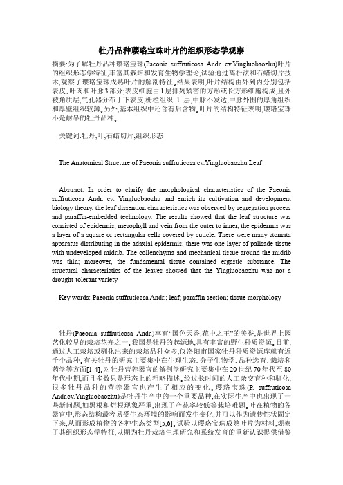 牡丹品种璎珞宝珠叶片的组织形态学观察