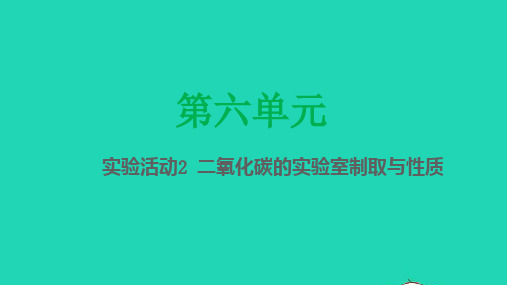 实验活动2二氧化碳的实验室制取与性质课件--九年级化学人教版上册