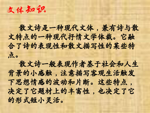 新人教版七年级语文上册课件：7、金色花 (共14张PPT)