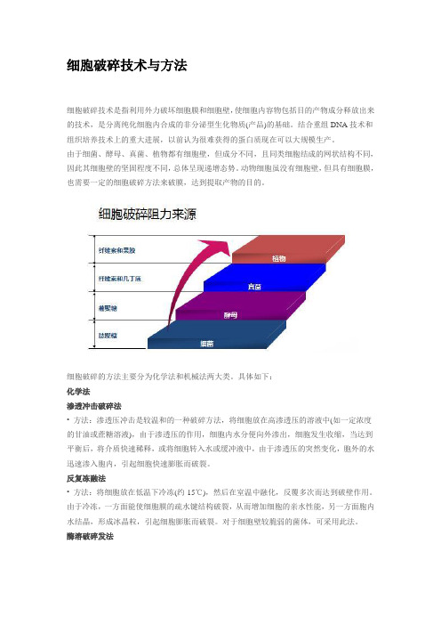 细胞破碎技术与方法