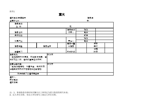 重大隐患和一般隐患、危险源表格(1)