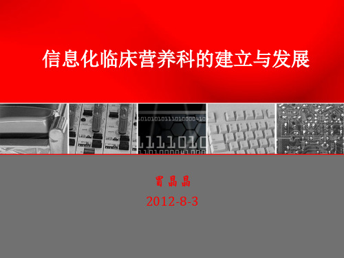 临床营养信息系统建立与应用完整版本