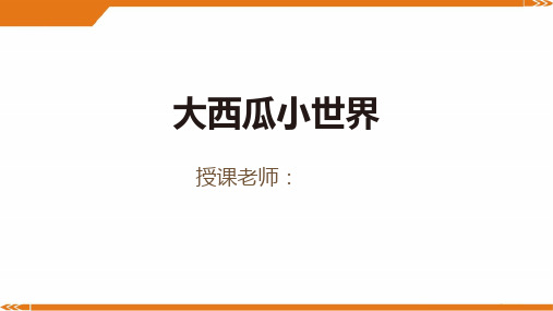 2024年3岁-4岁《大西瓜小世界》-美术课件