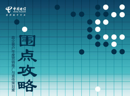 【围点攻略】2010年度政企客户营销推广宣传策划建议案 2010年2月