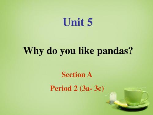 【浙江省】 2 Unit 5 Why do you like pandas Section A 2课件.ppt