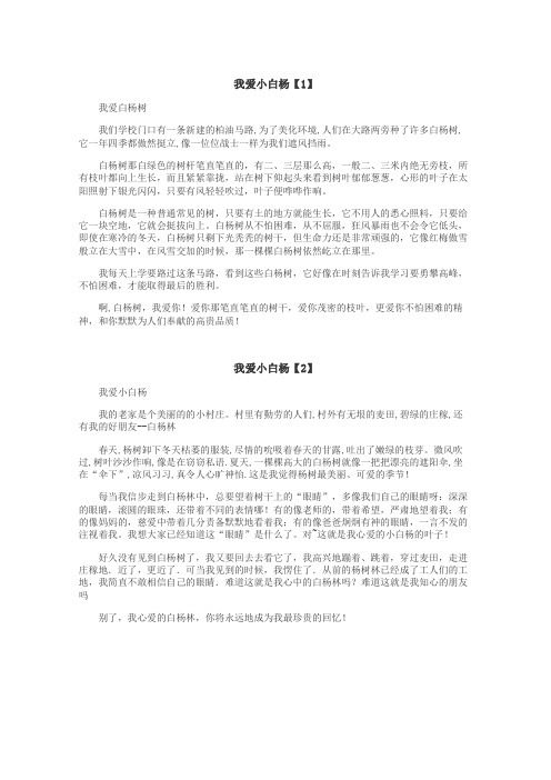 我爱小白杨作文
