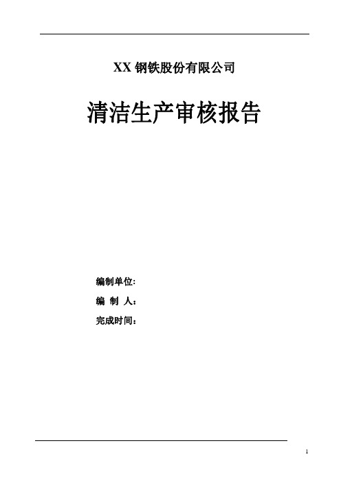 某钢铁有限责任公司清洁生产审核报告 精品