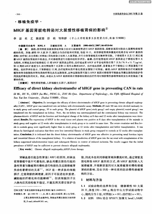 hHGF基因肾脏电转染对大鼠慢性移植肾病的影响