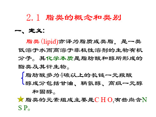 脂类化学小结