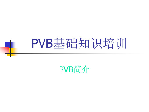 PVB基础培训资料解析