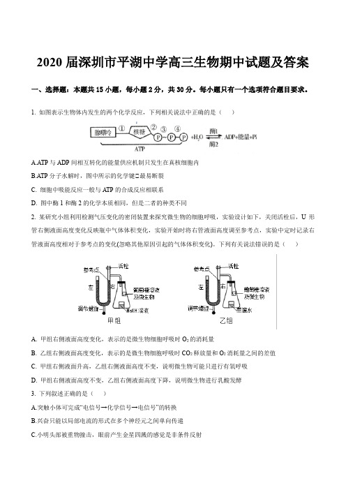 2020届深圳市平湖中学高三生物期中试题及答案