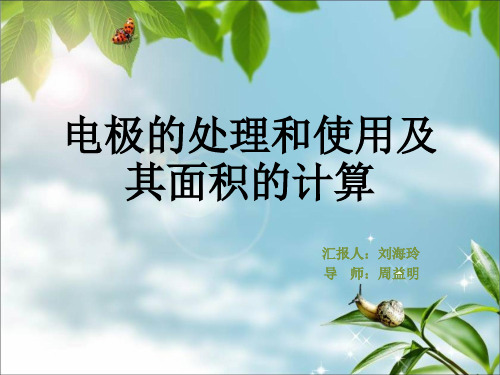 电极的处理和使用及其面积的计算 刘海玲概诉