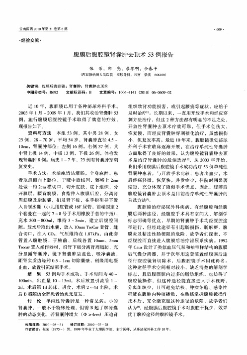 腹膜后腹腔镜肾囊肿去顶术53例报告