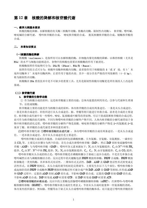 华中农业大学生物化学考研试题库附答案核酸的降解和核苷酸代谢