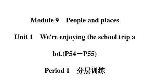 Module9Peopleandplaces课时习题课件英语七年级上册