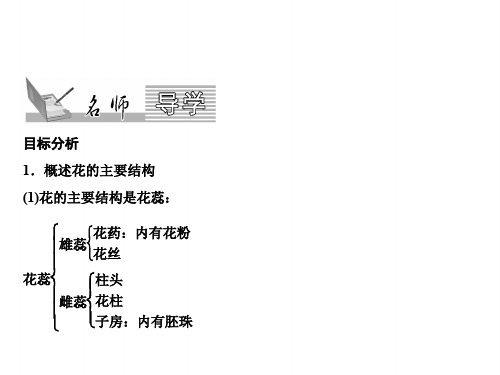 七上生物(人教版)课件-花的结构、传粉和受精