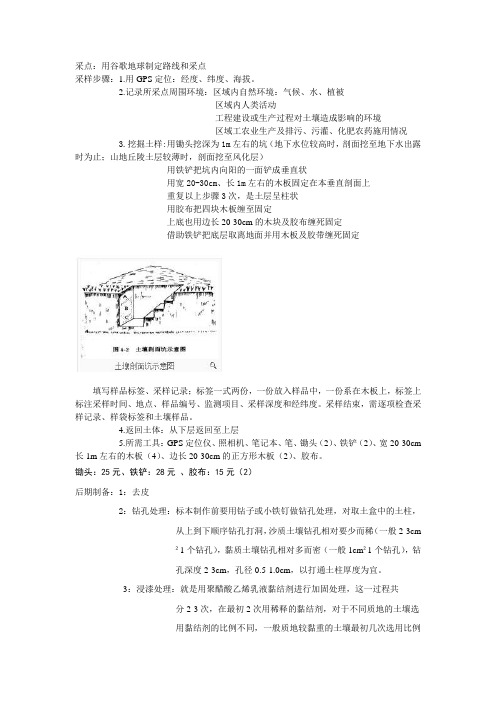 土壤剖面制作过程