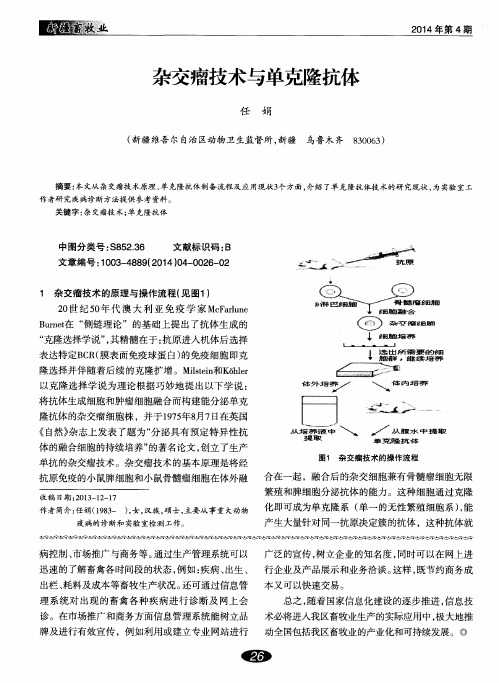 杂交瘤技术与单克隆抗体