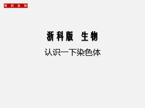 9 减数分裂 认识一下染色体8.18 -2021届浙江高考生物一轮复习课件(浙科版)(共14张PPT)