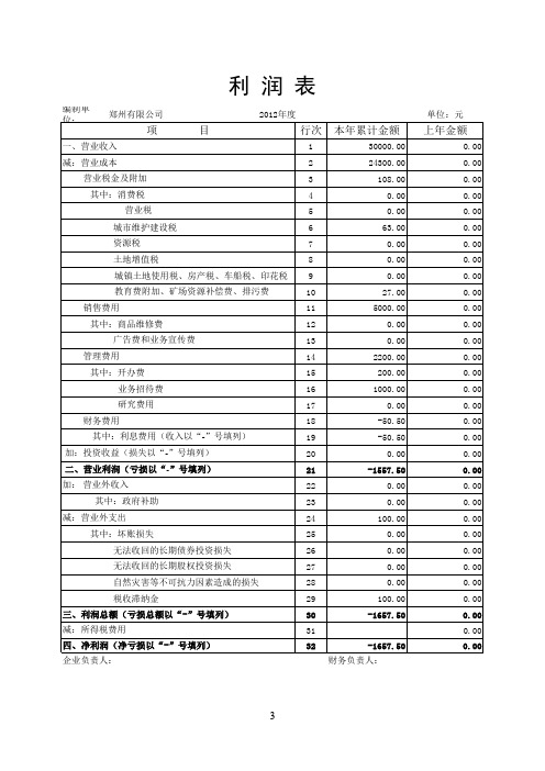 执行小企业会计准则资产负债表、利润表、现金流量表