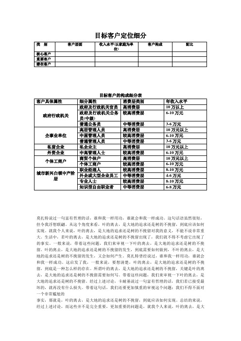 目标客户定位细分表