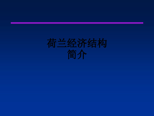 荷兰经济结构简介ppt课件