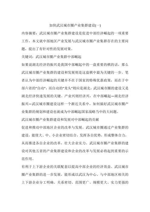 加快武汉城市圈产业集群建设(一)