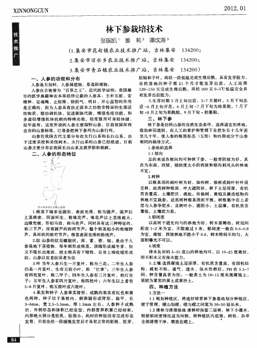 林下参栽培技术