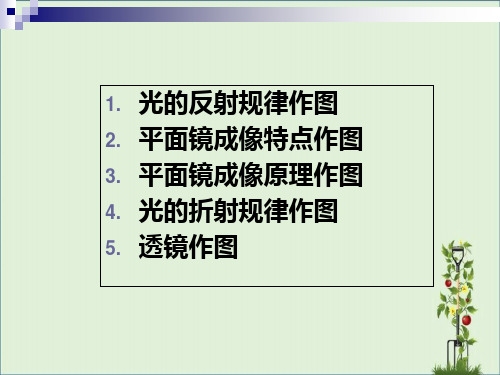 中考物理专题复习课件作图题