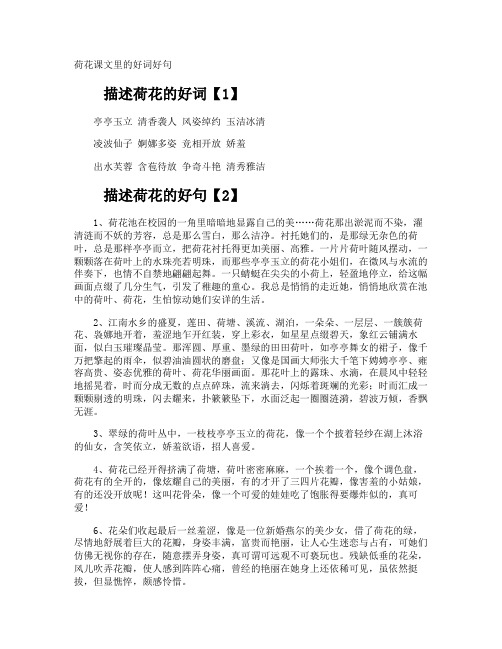 荷花课文里的好词好句