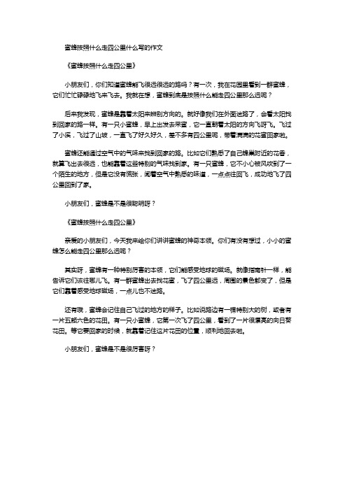 蜜蜂按照什么走四公里什么写的作文