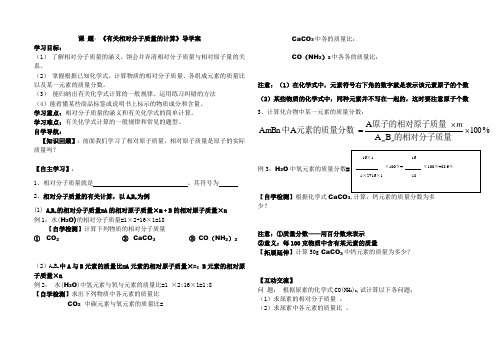 化学式计算导学案 (1)