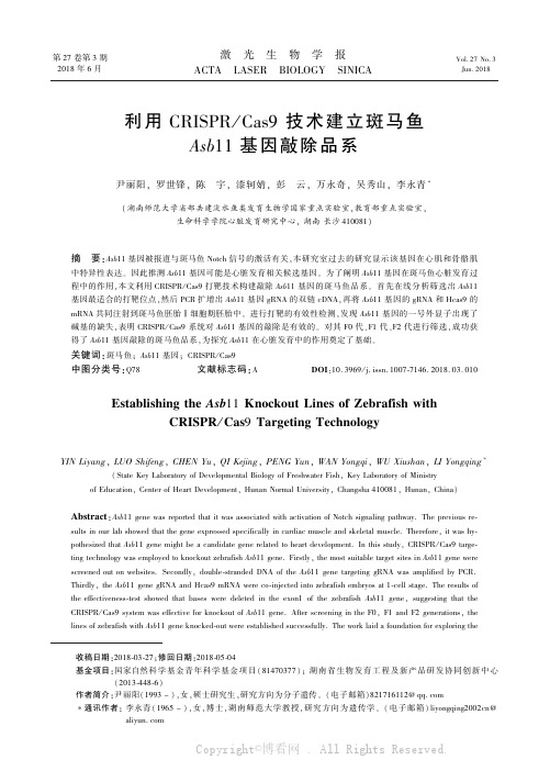 利用CRISPRCas9技术建立斑马鱼Asb11基因敲除品系