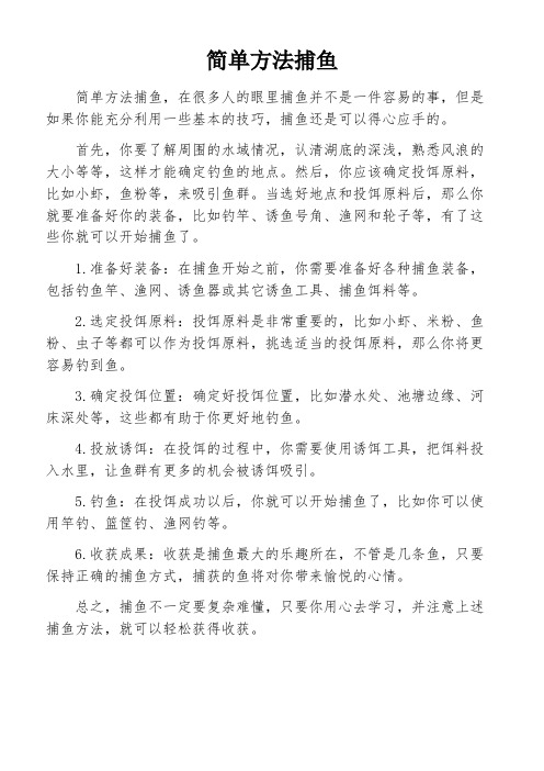 简单方法捕鱼