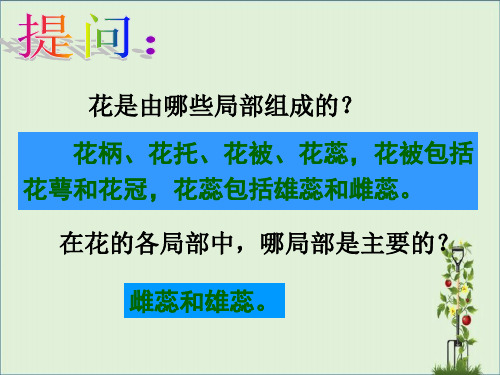 八年级生物第一节植物的生殖课件人教版