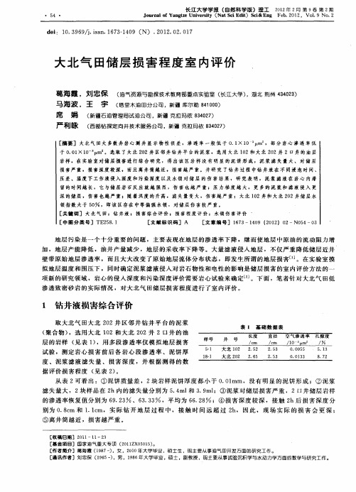 大北气田储层损害程度室内评价