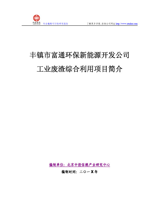 工业废渣综合利用项目可行性研究报告